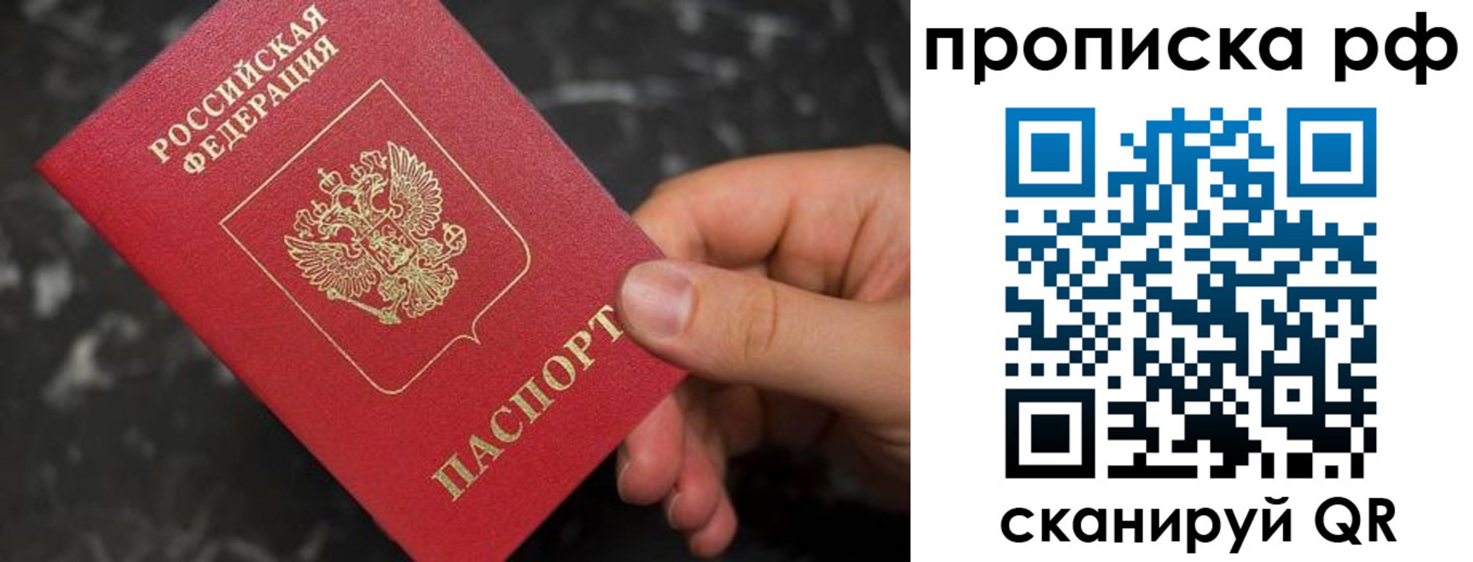 прописка 2025 в Куртамыше